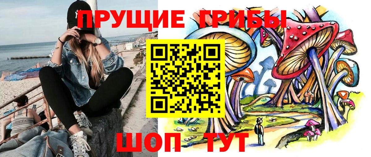 Галлюциногенные грибы Cubensis Мурманск